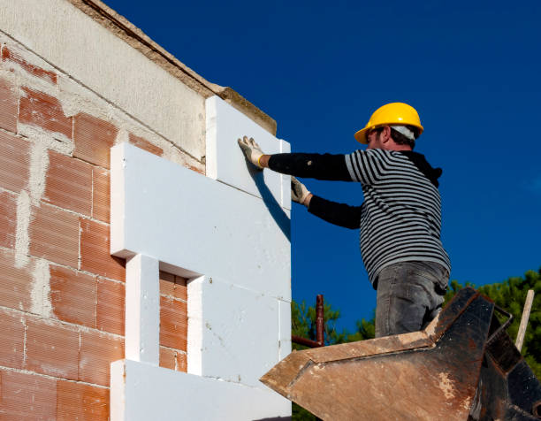 Best Attic Insulation Installation  in Shannon, GA